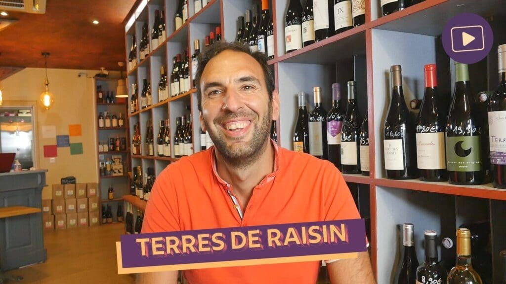 Fond videos terres de raisin