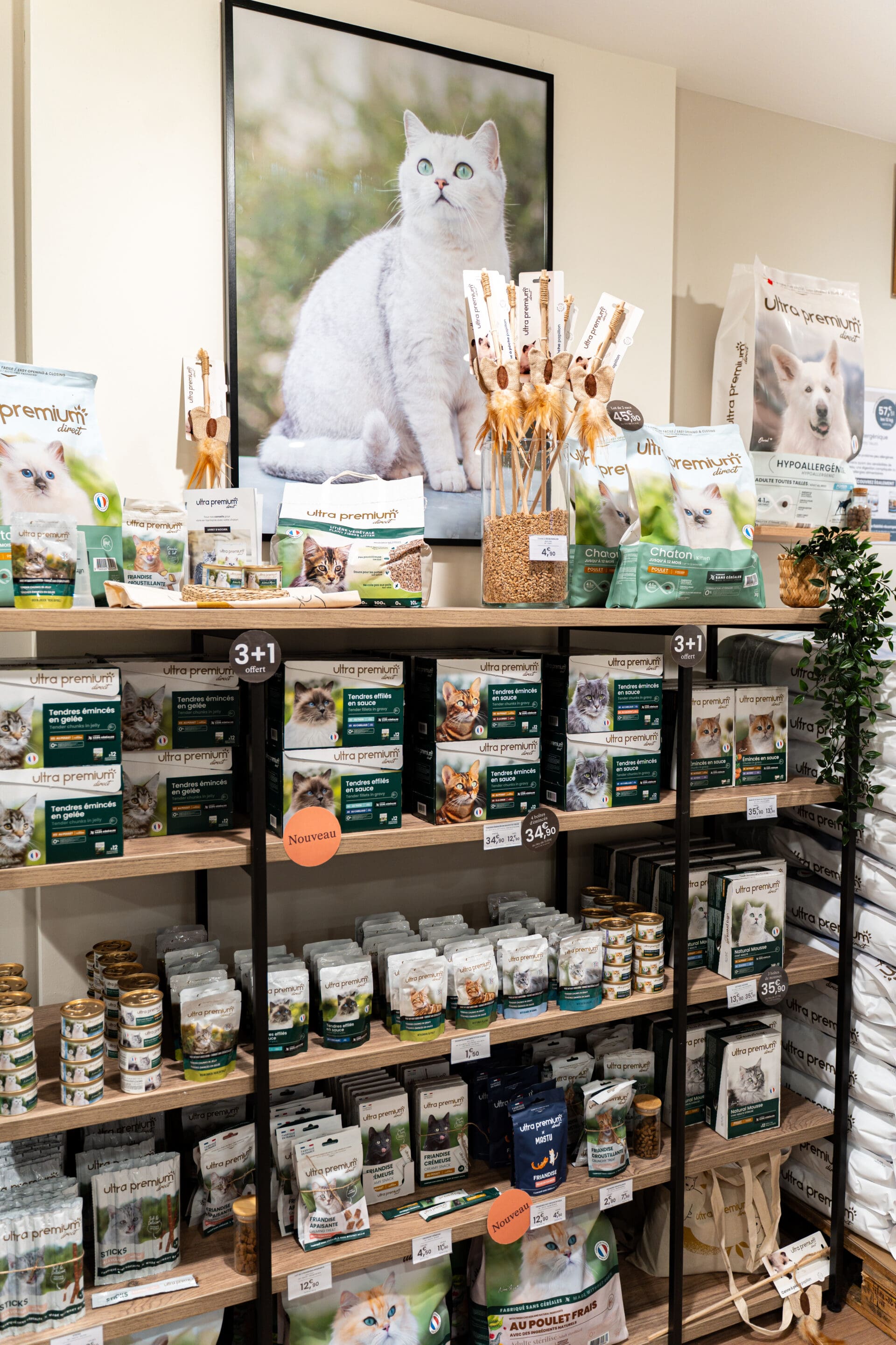 GRÉGOIRELECOLLEY 2027